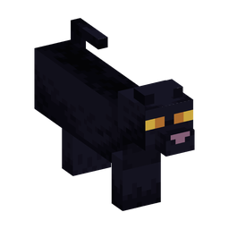 All black Woodland Cat appearance