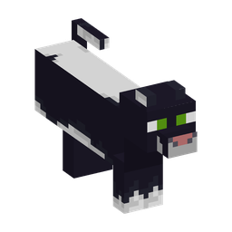Black Woodland Cat appearance