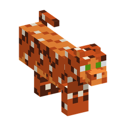 Fox Woodland Cat appearance