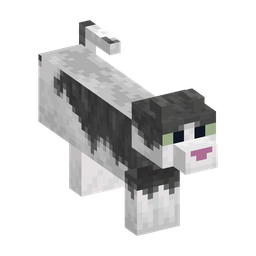 Jellie Woodland Cat appearance