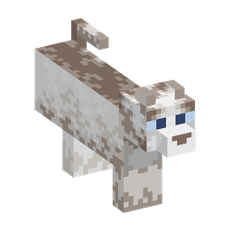 Ragdoll Woodland Cat appearance