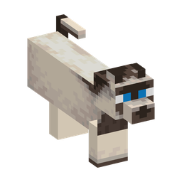 Siamese Woodland Cat appearance