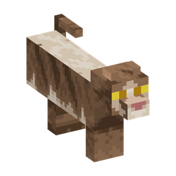 Tabby Woodland Cat appearance