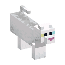 White Woodland Cat appearance